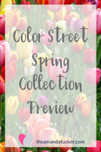 color street spring collection launch
